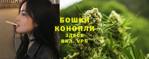 бошки Белокуриха