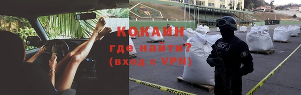 бошки Белокуриха