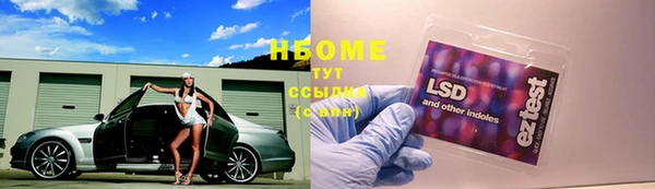 бошки Белокуриха