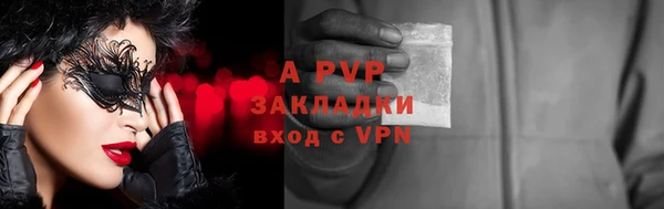 бошки Белокуриха