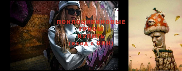 бошки Белокуриха